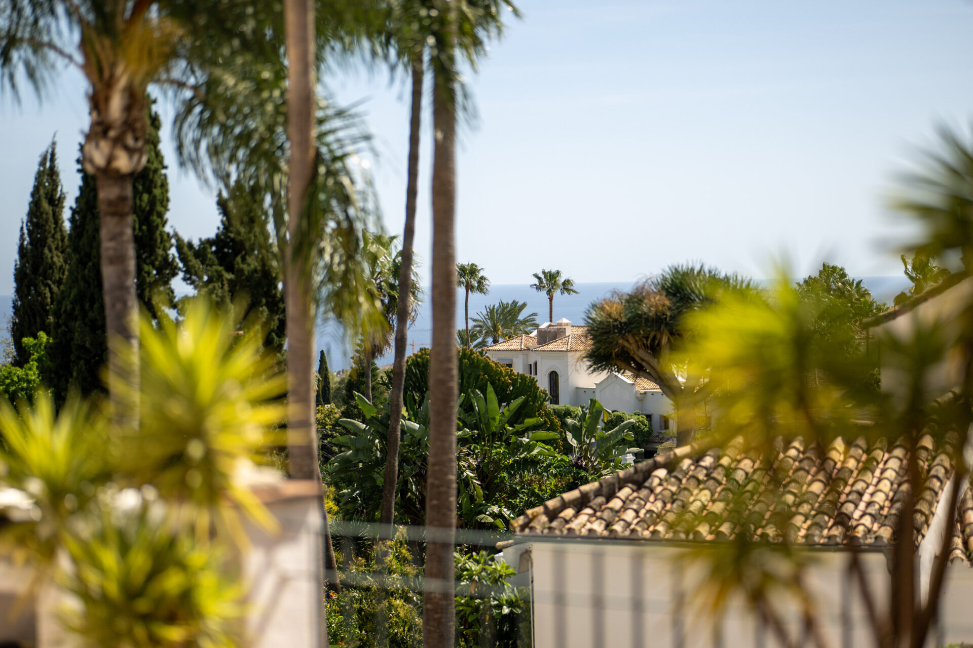 Luxury villa surrounded by palm trees on the Marbella Golden Mile